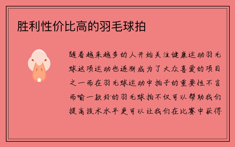 胜利性价比高的羽毛球拍